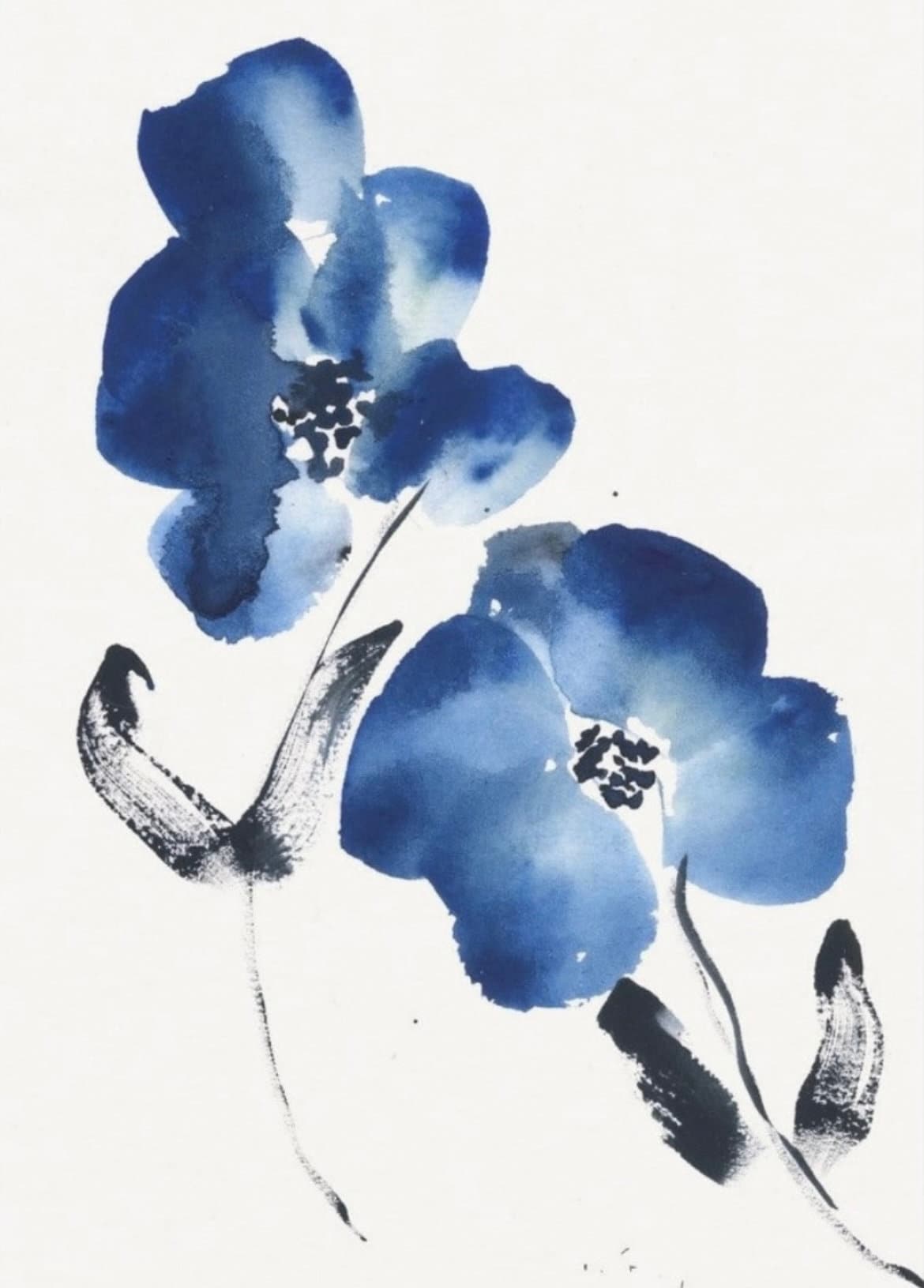 Floral collection #23
